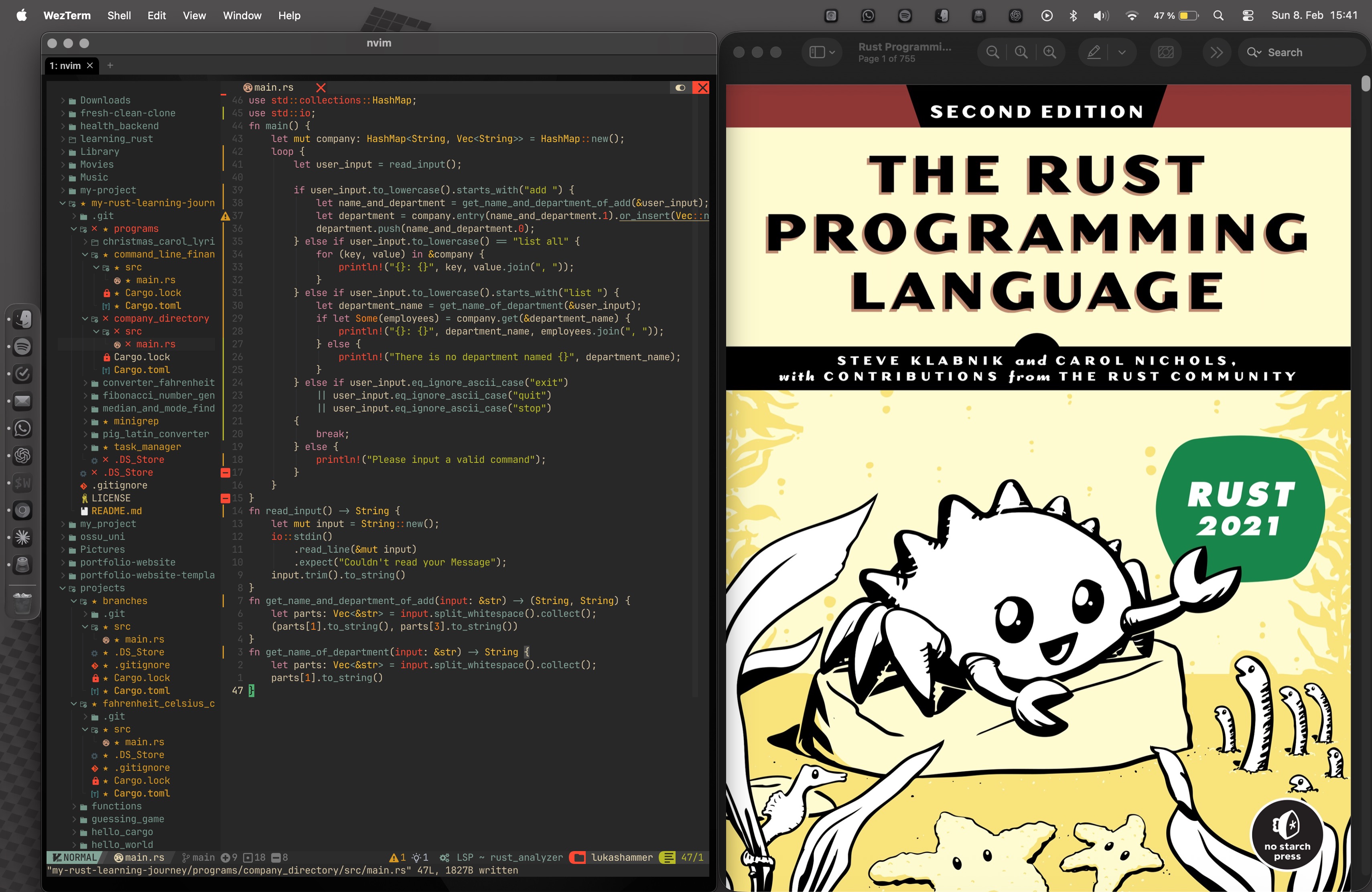 Rust Programming